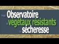 Clip vidéo sur la mise en place d'un observatoire des végétaux résistants à la sécheresse. Du 29 mars au 10 juin 2017 à montauban. Tarn-et-Garonne. 